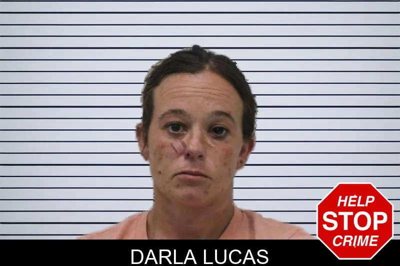 Darla Lucas mugshot
