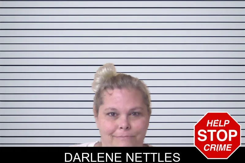 Darlene Nettles mugshot