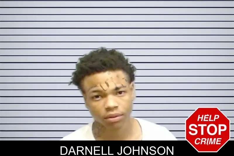 Darnell Johnson mugshot