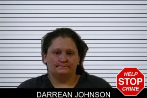 Darrean Johnson mugshot
