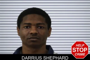 Darrius Shephard mugshot
