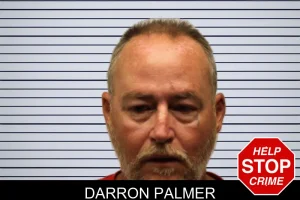 Darron Palmer mugshot