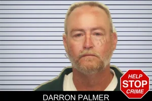Darron Palmer mugshot