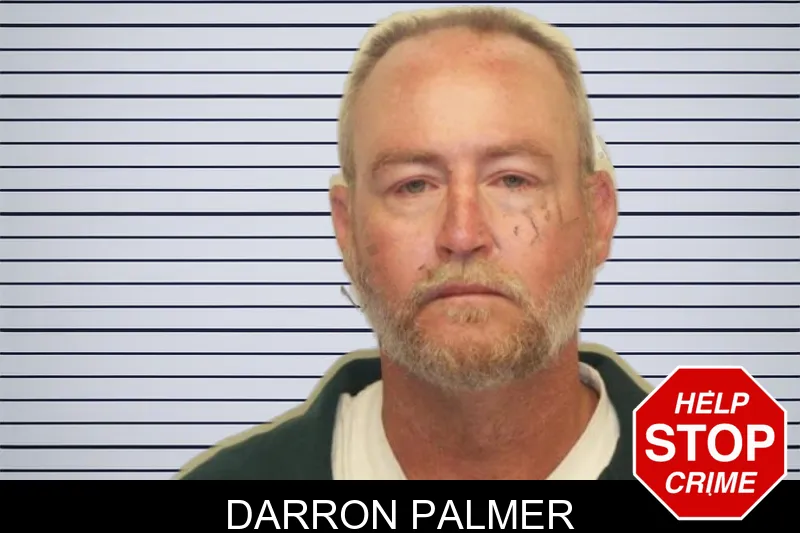 Darron Palmer mugshot