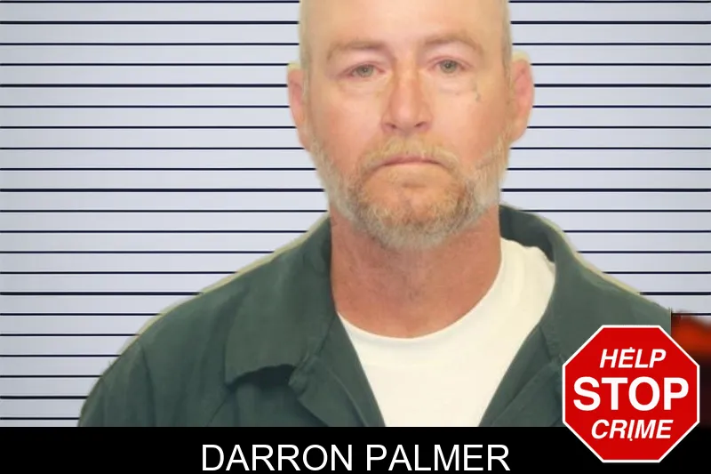 Darron Palmer mugshot