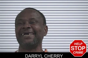 Darryl Cherry mugshot