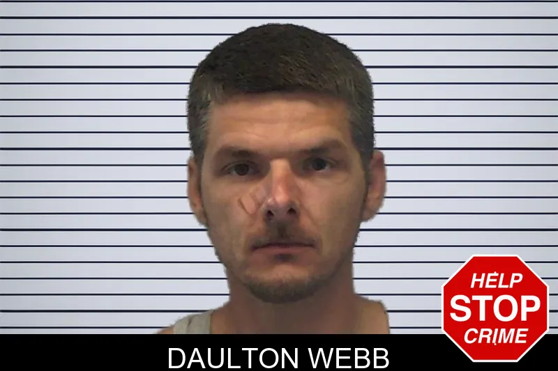 Daulton Webb mugshot