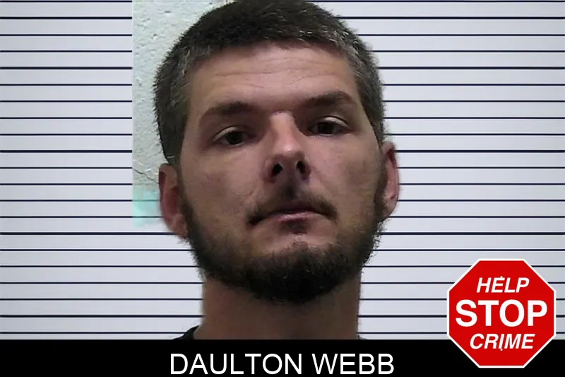 Daulton Webb mugshot