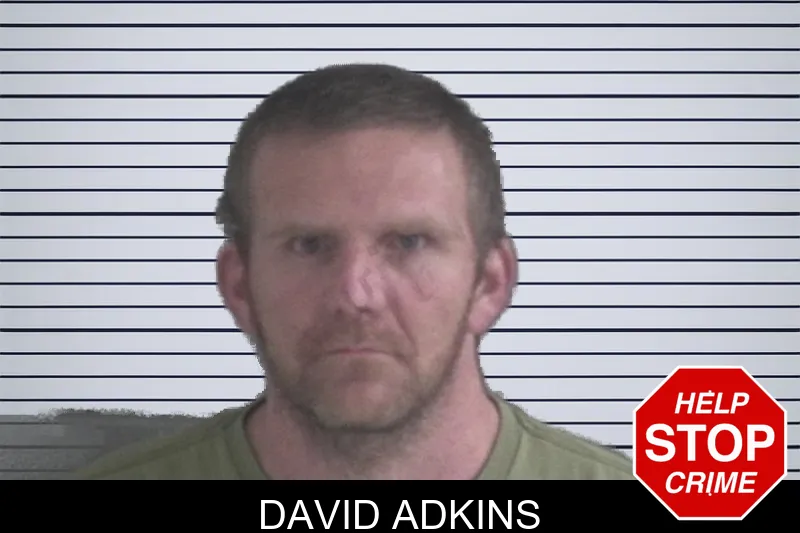 David Adkins mugshot – Brantley County , Georgia David Adkins mugshot