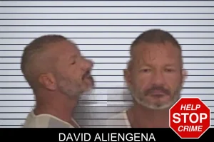 David Aliengena mugshot