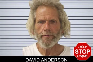 David Anderson mugshot