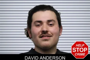 David Anderson mugshot