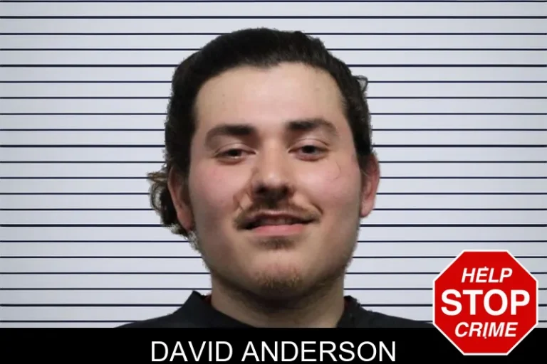 David Anderson mugshot – Habersham County , Georgia David Anderson