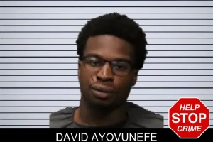 David Ayovunefe mugshot