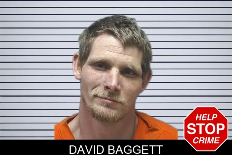 David Baggett