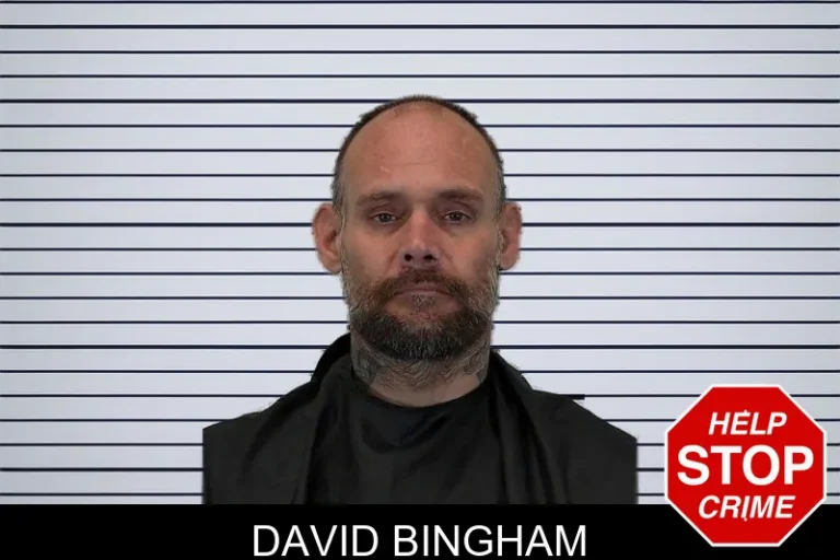 David Bingham