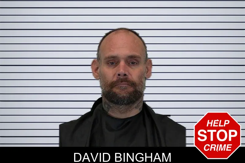 David Bingham mugshot