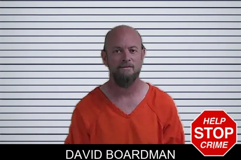 David Boardman mugshot – Fannin County , Georgia David Boardman