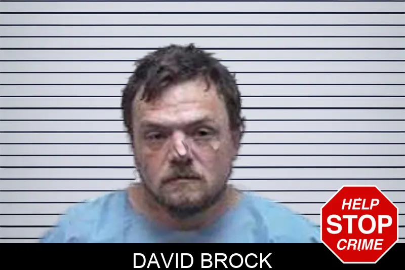 David Brock mugshot