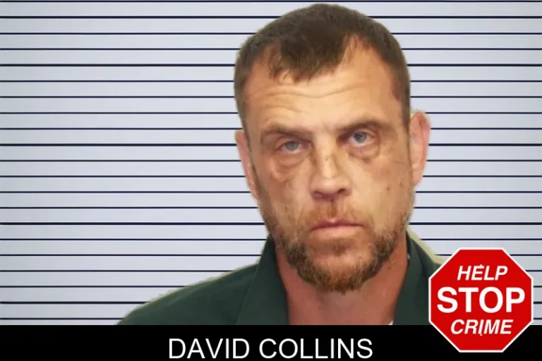 David Collins