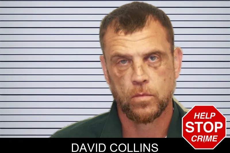 David Collins mugshot – Chatham County , Georgia David Collins mugshot