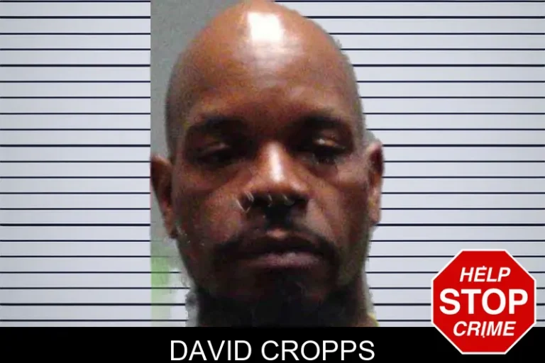 David Cropps