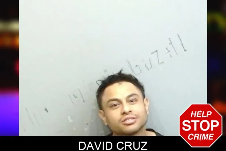 David Cruz