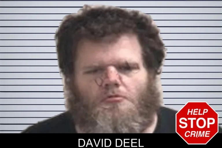 David Deel