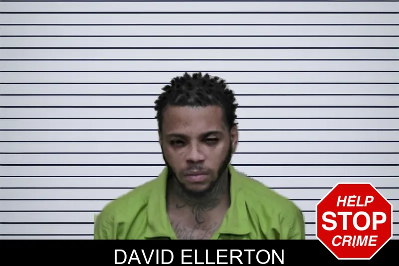 David Ellerton mugshot