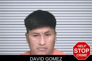 David Gomez mugshot