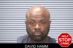 David Hamm mugshot