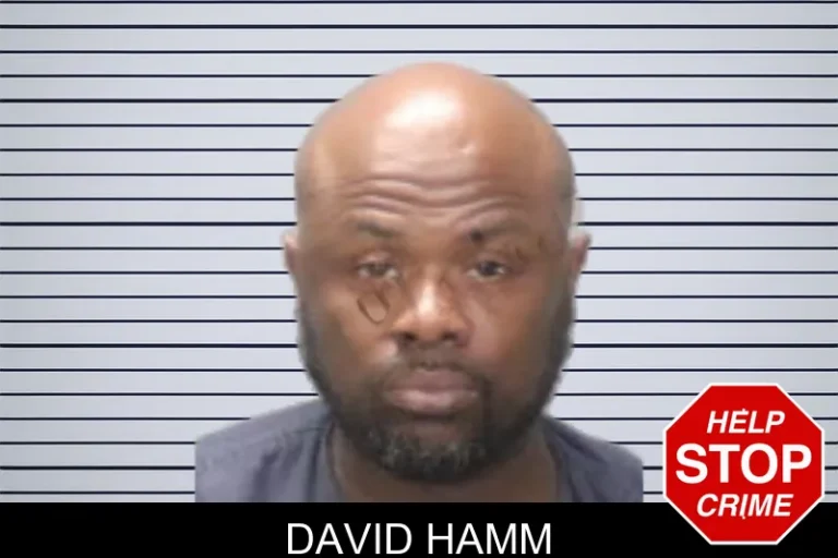 David Hamm
