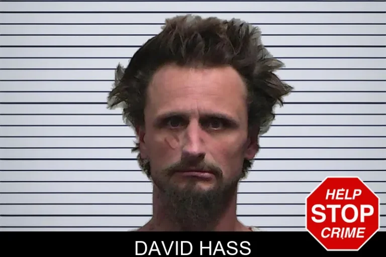 David Hass