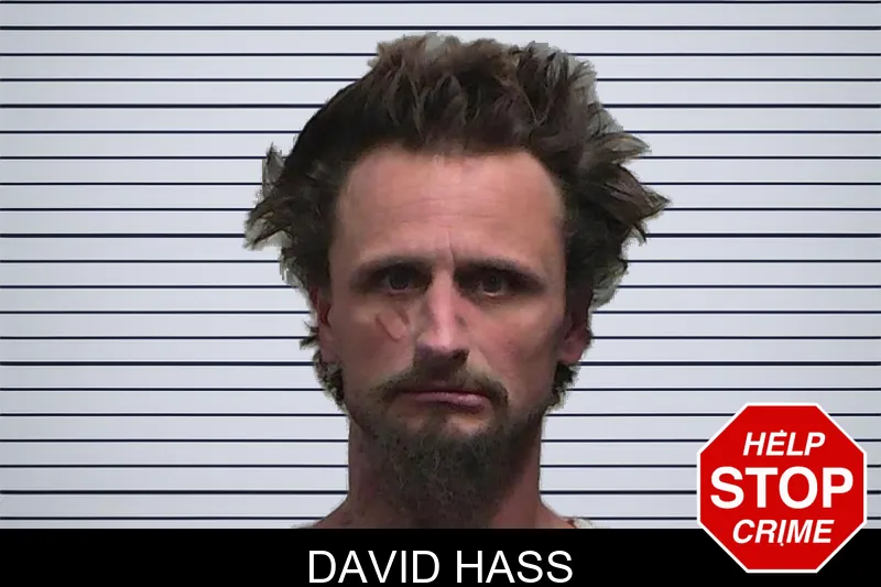 David Hass mugshot