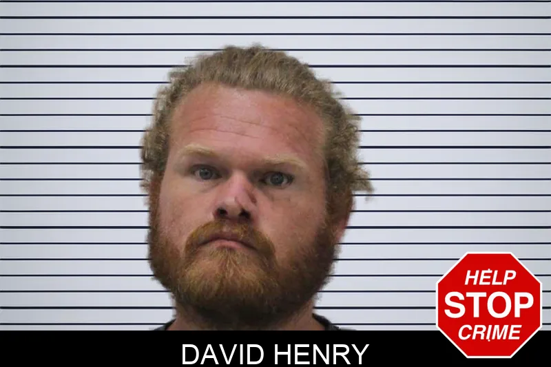 David Henry mugshot – Colquitt County , Georgia David Henry mugshot