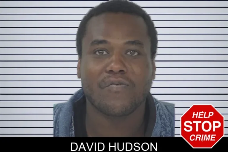 David Hudson