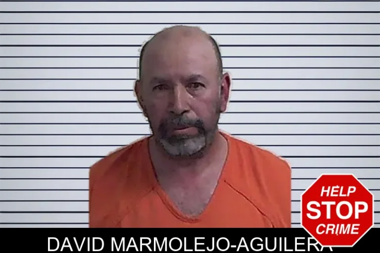 David Marmolejo-Aguilera mugshot – Fannin County , Georgia David Marmolejo-Aguilera