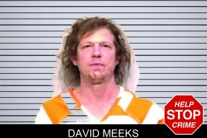 David Meeks mugshot