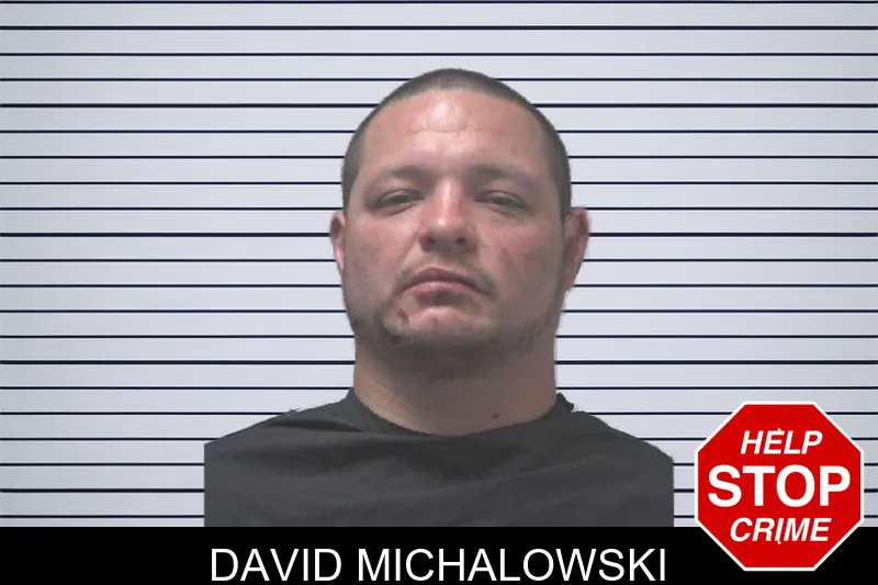 David Michalowski mugshot