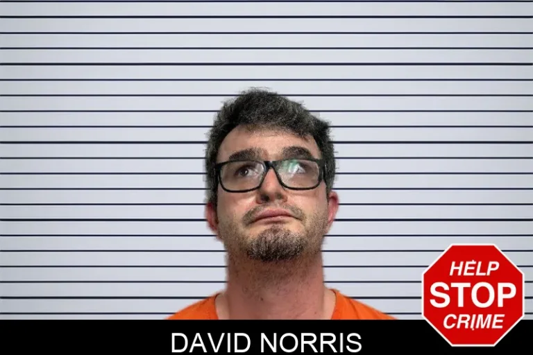 David Norris mugshot – Dade County , Georgia David Norris