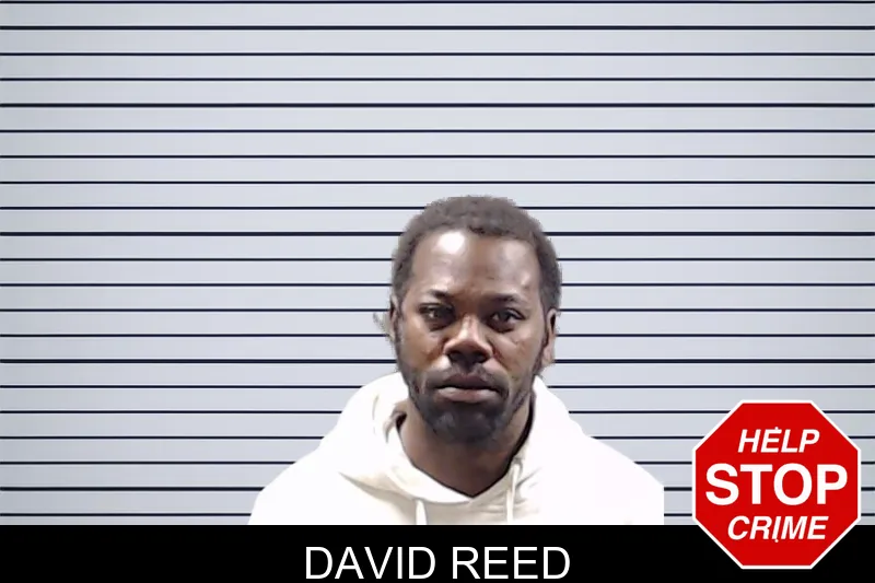 David Reed mugshot