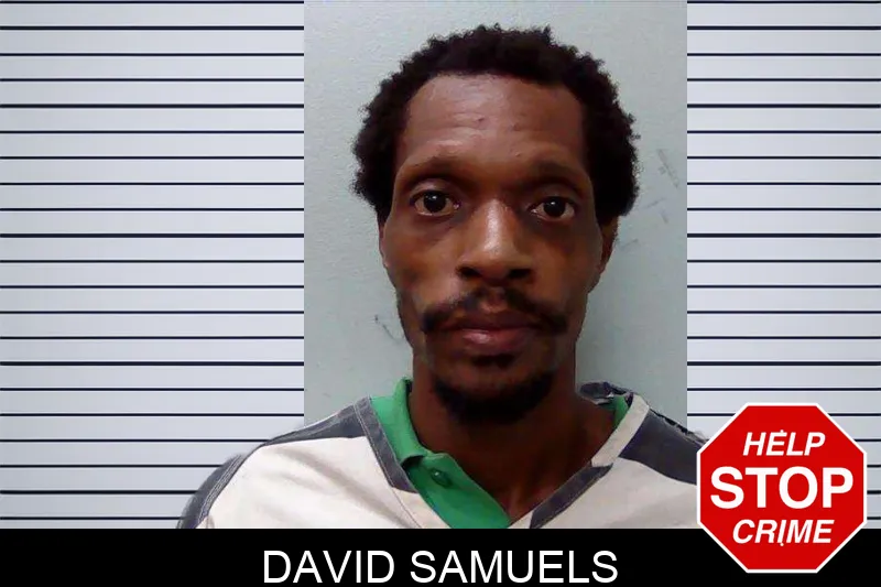 David Samuels mugshot – Evans County , Georgia David Samuels mugshot
