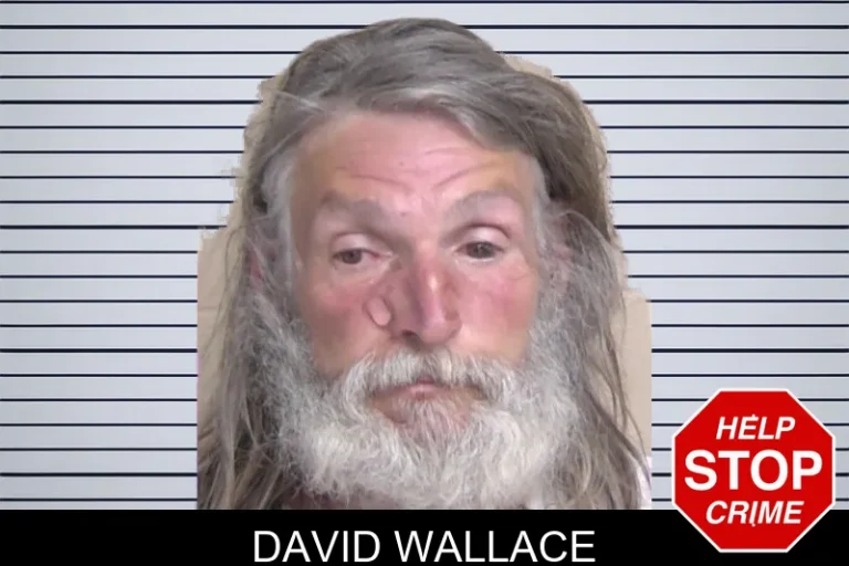 David Wallace mugshot – Walker County , Georgia David Wallace