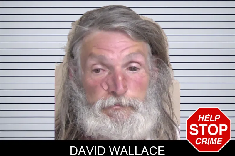 David Wallace mugshot – Walker County , Georgia David Wallace mugshot