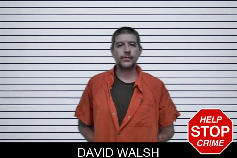 David Walsh