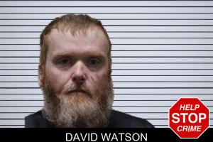 David Watson mugshot
