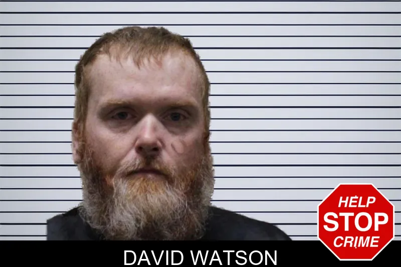 David Watson mugshot
