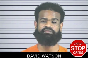 David Watson mugshot