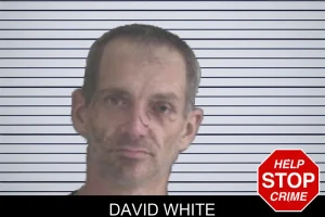David White mugshot
