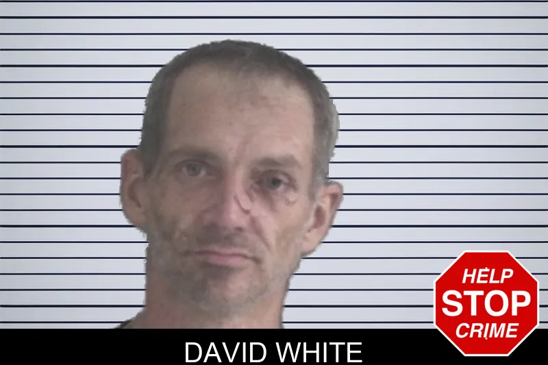 David White mugshot